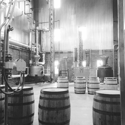 Wilderness Trail Distillery - 18" Copper Beer Still System, 175 Gallon Batch Still System - Danville, KY