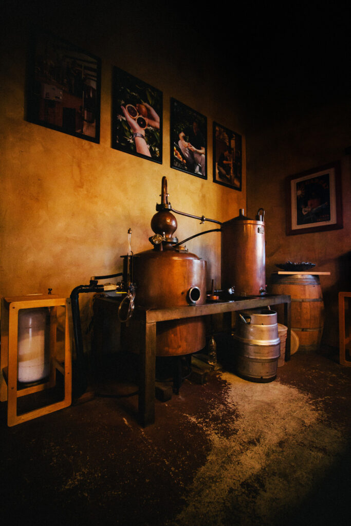 Batch Distillation Systems