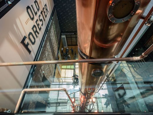 Old Forster still